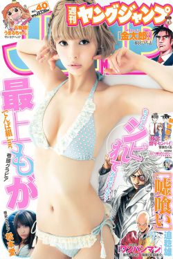 打手虫